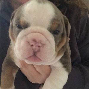 Meet your Posher, Alexis